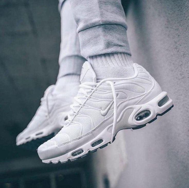 Nike TN Airmax Plus White