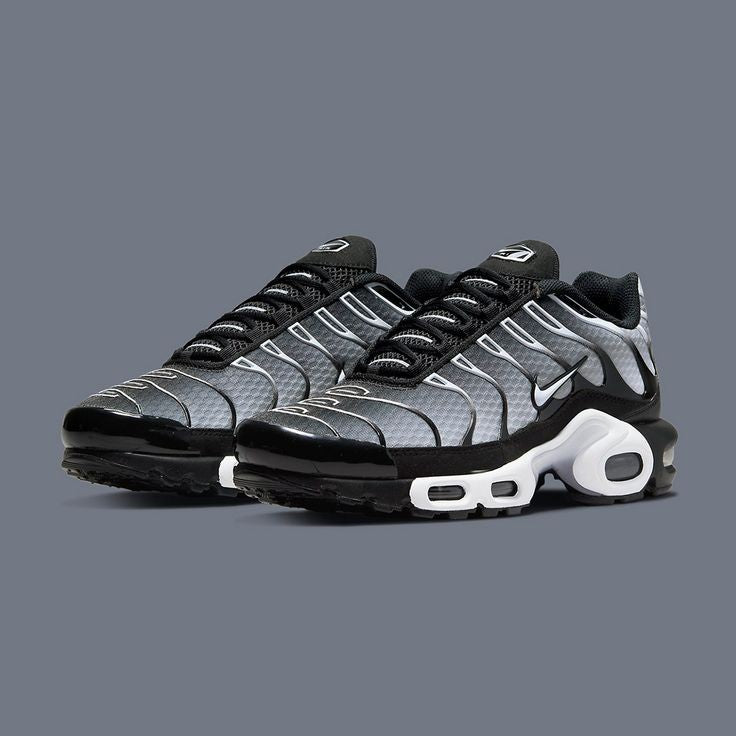 Nike TN AirMax Plus Silver/Black